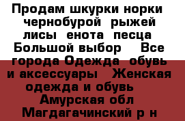 Продам шкурки норки, чернобурой, рыжей лисы, енота, песца. Большой выбор. - Все города Одежда, обувь и аксессуары » Женская одежда и обувь   . Амурская обл.,Магдагачинский р-н